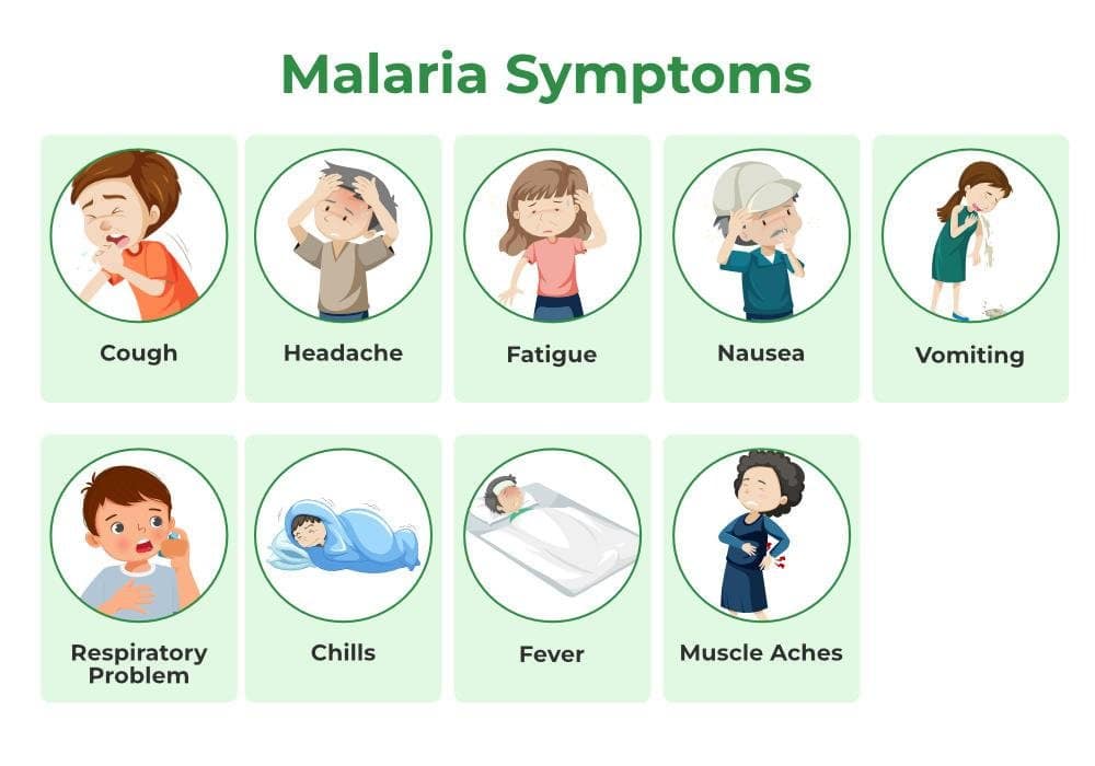 Symptoms of Worsening Malaria