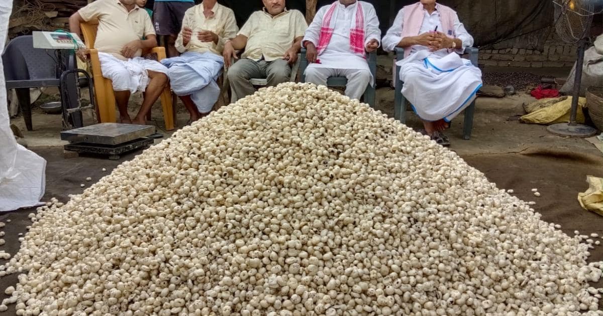 Makhana Farming Business Idea