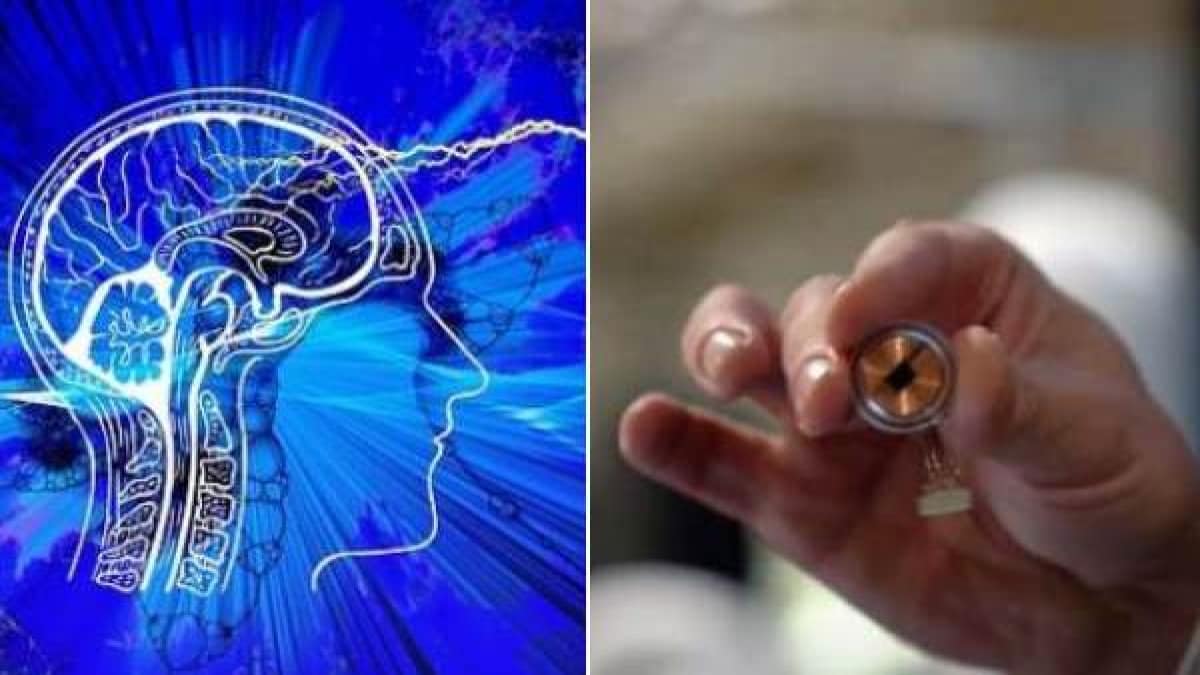 Brain chip