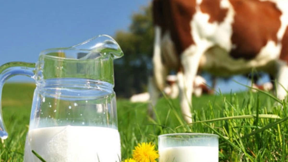 Milk Price Hike