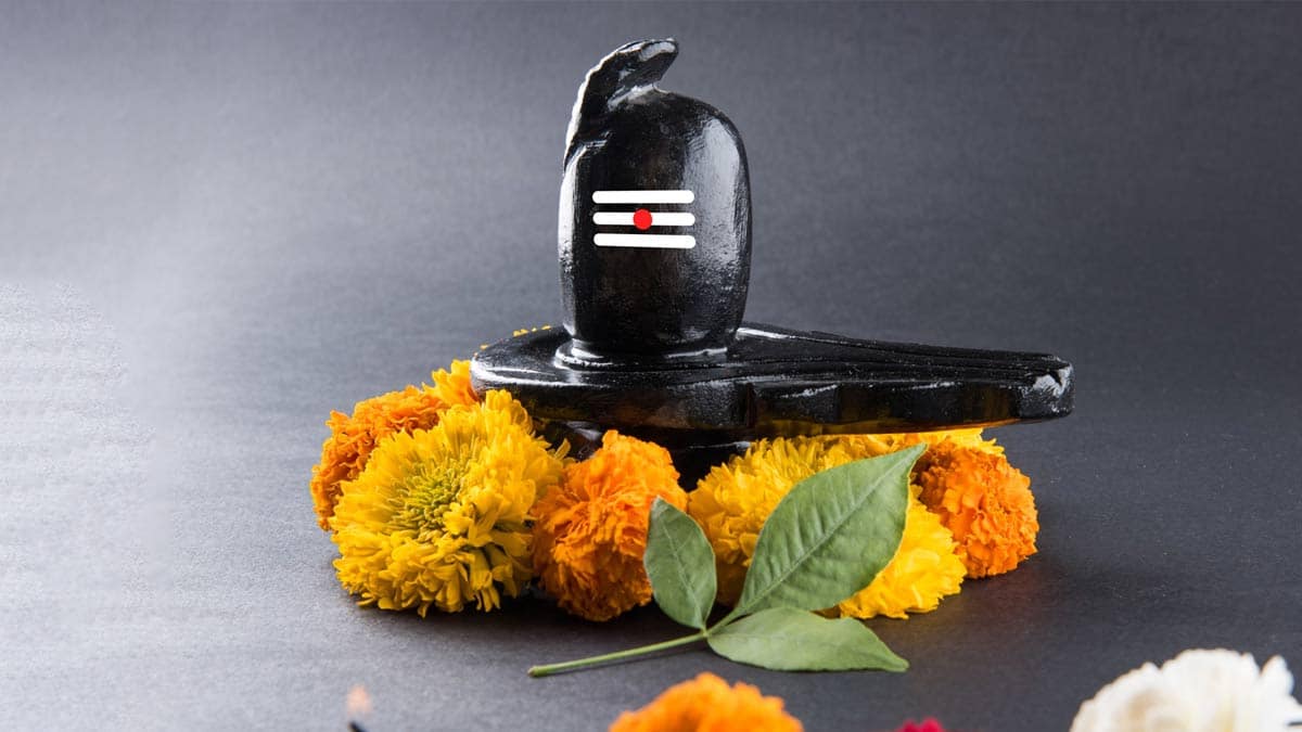 Shivling Puja