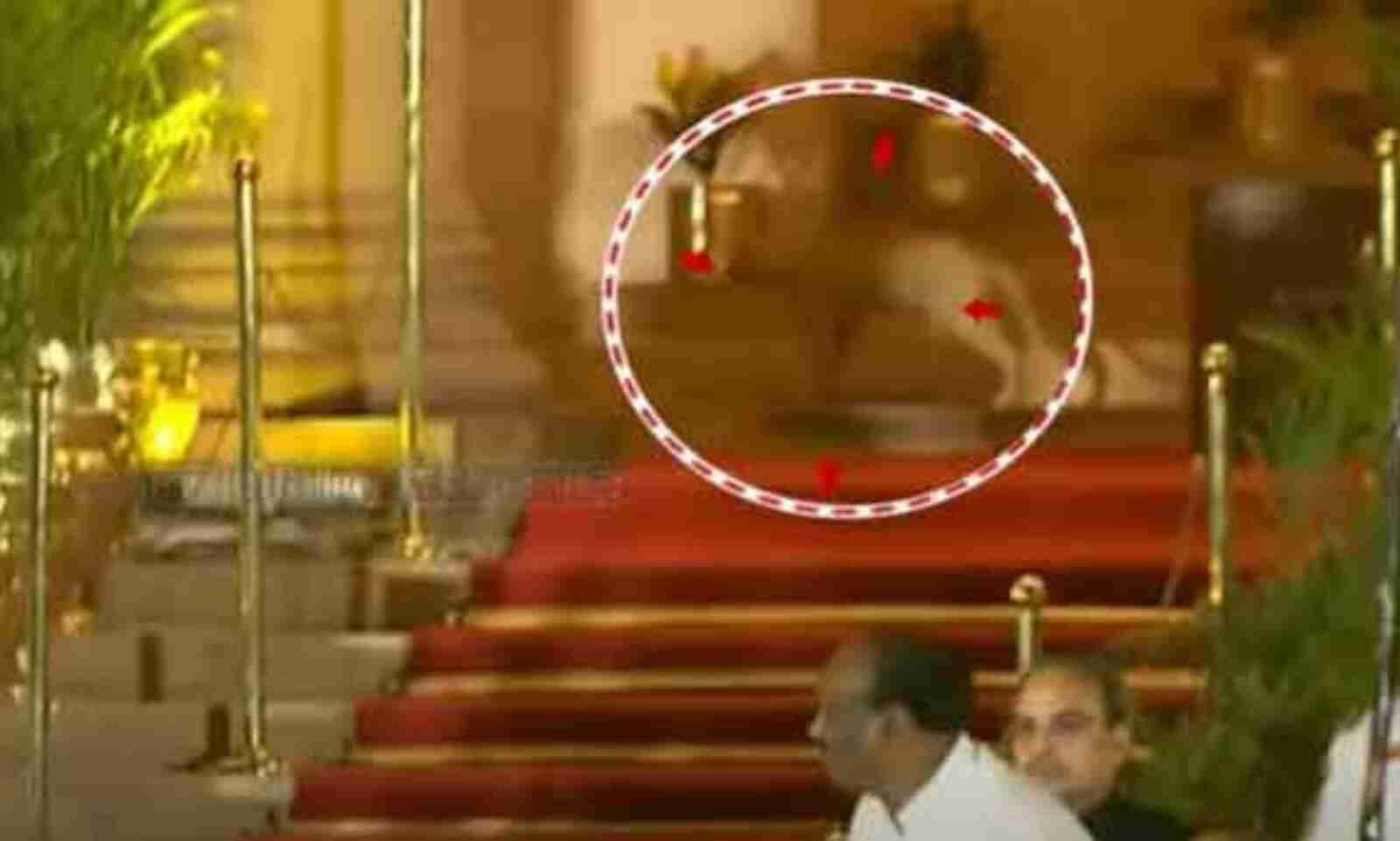 Leopard At Rashtrapati Bhavan? Video Goes Viral