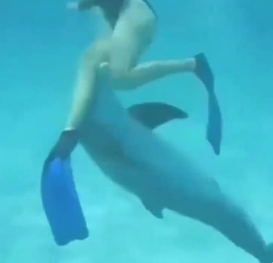 Woman swims with dolphin