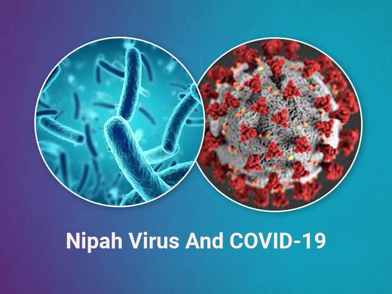 Nipah Virus Outbreak: Top 10 symptoms of the deadly Virus